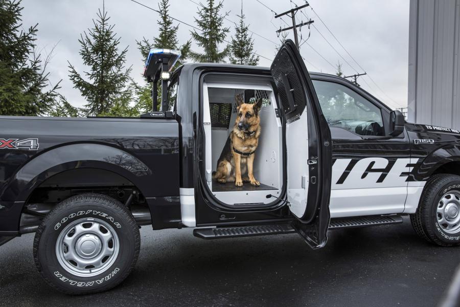  Ford F-150 Special Service Vehicle 2016 года  (фото 3 из 6)